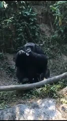 перекурчик