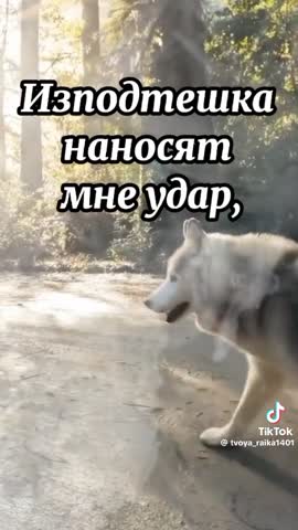 Я очень не люблю