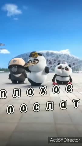 pinterestdownloader_-1705663449_196435