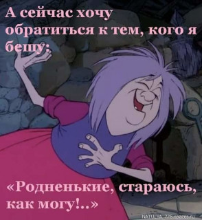 81