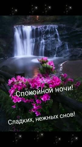 4_6026977213901964263