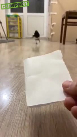 не_обманешь