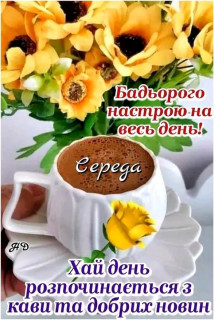 FB_IMG_17060795854995215