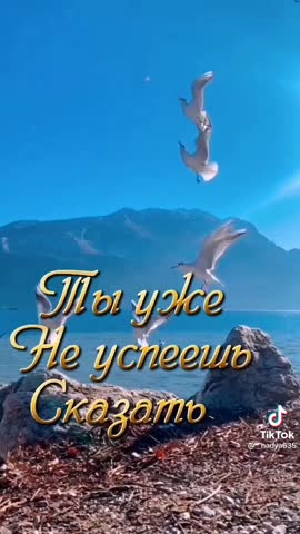 c4be602814fe0c89dac09ed494aa11b3
