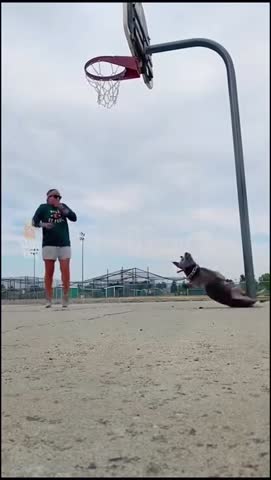 музыка_музыка