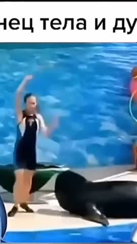 pinterestdownloader_-1706081069_398505