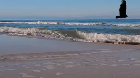 Al_Bano___Romina_Power_-_Liberta360P