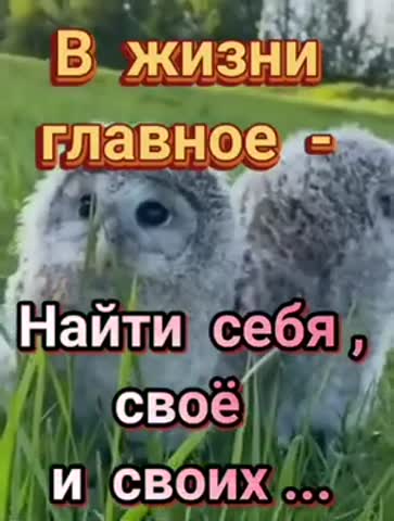 video-2badc8d98eef347e460b038313bd5581-V