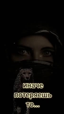 pinterestdownloader_-1706075494_502722