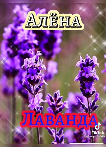 04703d86e07b3557bd5a3b3c325023d2