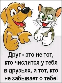 FB_IMG_17066494287219462