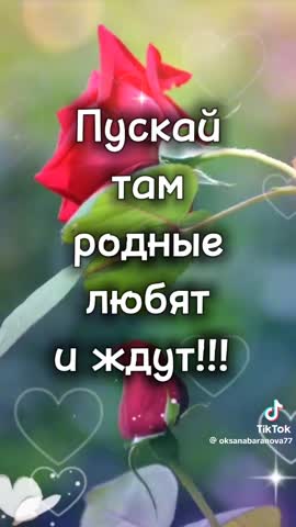 d533c0ac8e4af61e0fa4fd2d916c4572