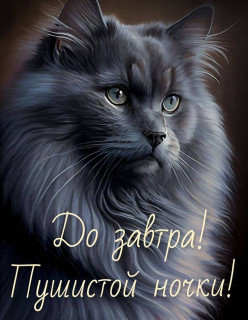 IMG-ec7f4e6461341bb2defd1ae4e015b8ae-V