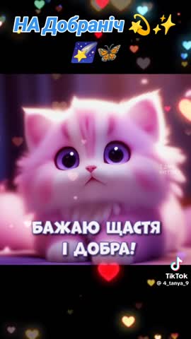 video-906a93a3278eeb02879947d1b22f35c5-V