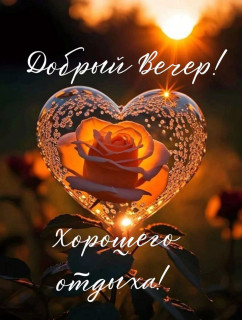 IMG-66e9d9735500d0cad9e4d40a2d115700-V