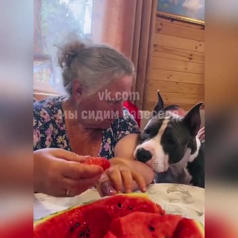 бабушки_они_такие