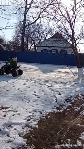 брат катает сестренку