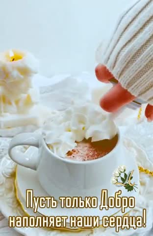 VID-20240210-WA0013