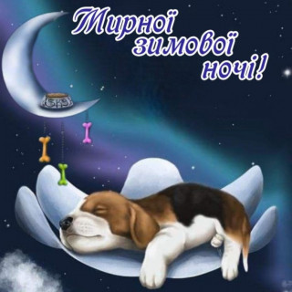 IMG-c41648a063ce96aadfb2e46dcc80e25f-V