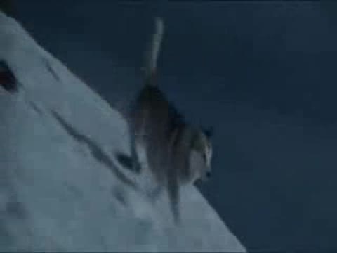 ВОЗЬМИ_МОЕ_СЕРДЦЕ