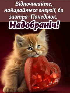 FB_IMG_17076829841446982