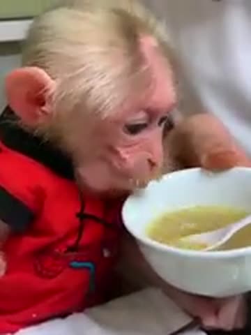 приятного_аппетита