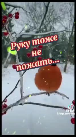 VID-20240213-WA0007