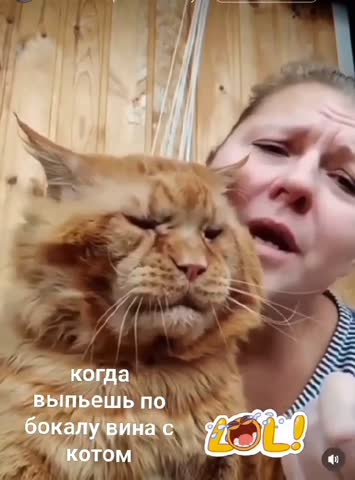 WhatsApp_Video_2024-02-13_at_10_12_36
