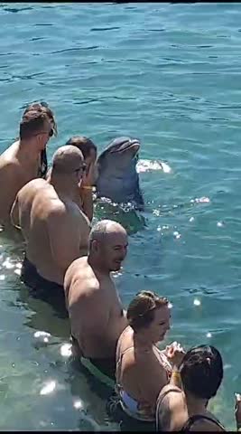 WhatsApp_Video_2024-02-13_at_08_12_30