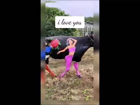 WhatsApp_Video_2024-02-14_at_09_15_37