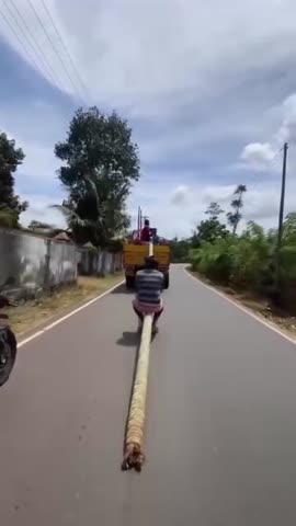 WhatsApp_Video_2024-02-15_at_08_46_26