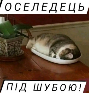 FB_IMG_17080306775508899