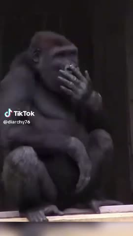 WhatsApp_Video_2024-02-16_at_09_10_22