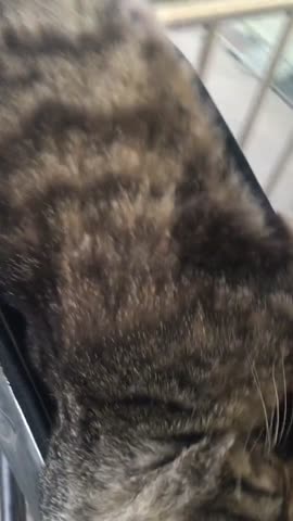 -Хорошее-Место-