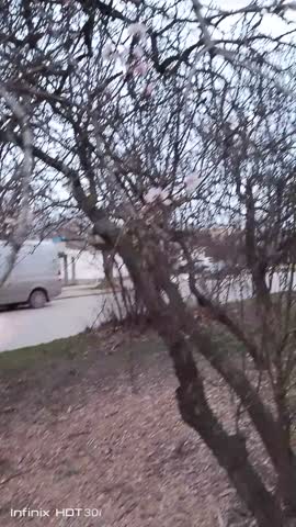 VID_20240217_080823
