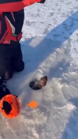 WhatsApp_Video_2024-02-18_at_11_55_161