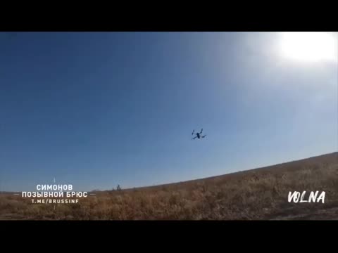 Эх_твою_мать_война
