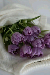 BSyiBMJ7G6A