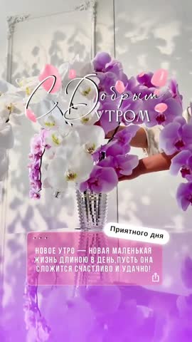 VID-20240219-WA0011
