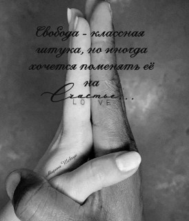 IMG-20240219-WA0073