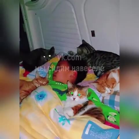 семейная_идиллия