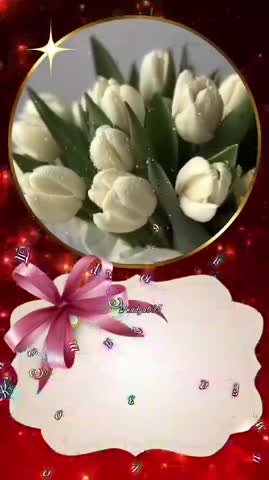 VID-20240221-WA0023