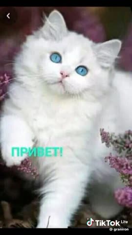 WhatsApp_Video_2024-02-23_at_10_02_44