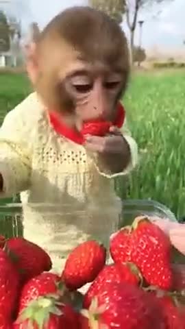 -Клубничка-