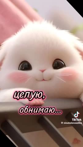 VID-20240224-WA0079