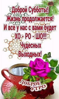 FB_IMG_17088487232271786