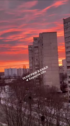 VID_20240225_145005_679