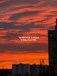 IMG_20240225_145027_425