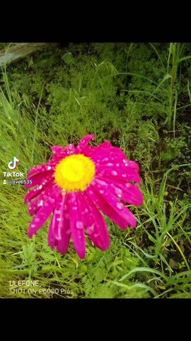 2024-02-25-195045008