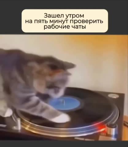VID-20240226-WA0013